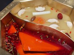 -蜀九香火锅(彩虹店)