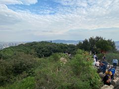 -灵岩山风景区
