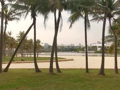 -欢乐海岸椰林沙滩-2025湾区超级灯会