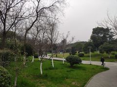 -玉山公园