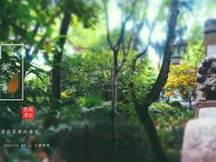 -汇龙潭