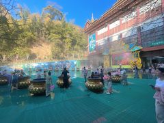-西双版纳原始森林公园