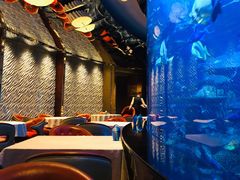 -迪拜帆船酒店海底餐厅