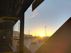 -威勒比开放式动物园