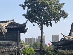 -梅园