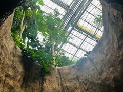 -南山植物园