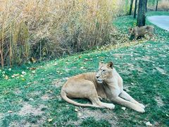 -北京野生动物园