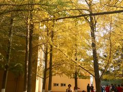 -辽宁大学(崇山校区)