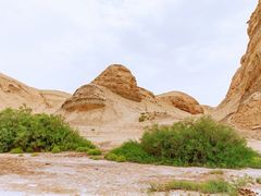 -托素湖高原生态旅游景区(柯鲁诺尔村店)
