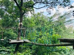 -芦仙山景区-飞越丛林探险乐园