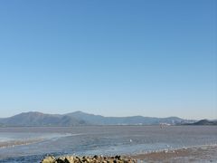 -深圳湾公园(南山区)