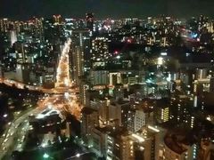 -东京塔海贼王主题公园