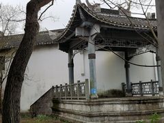 -上海鲜花港