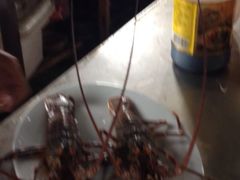 -海上驿站渔家菜馆