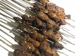 -小杨烤肉(高新店)