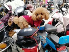 -南京环北服装批发市场