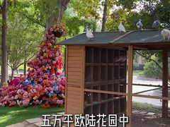 -青岛鑫江温德姆酒店