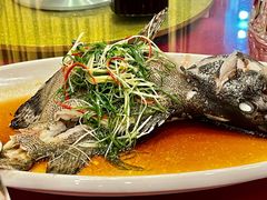 清蒸老虎斑鱼-四海之家(蛇口店)