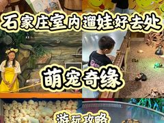 -萌宠奇缘