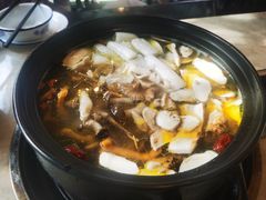 -蘑统田下·野生菌火锅