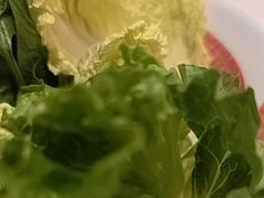 奶油生菜-东门口·新式老北京火锅(河西龙湖天街店)