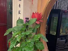 -汤泉良子.足疗按摩.SPA(中关村店)