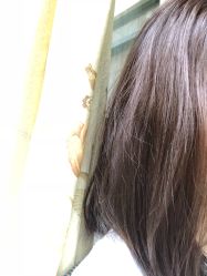-HD HAIR STYLE