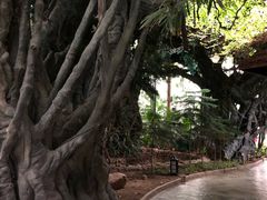 -龙达温泉生态城