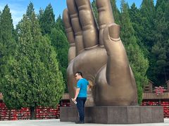-龙口南山旅游景区