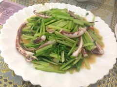 麦芹炒鱿鱼须-潮汕铺老店(甜水井店)