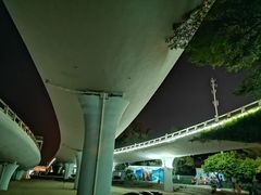 -演武大桥观景平台