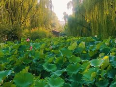 -北京积水潭医院(回龙观院区)
