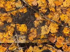 -叠溪松坪沟景区