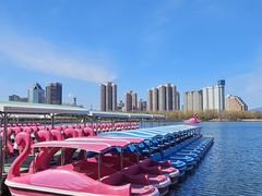 -莲花池公园