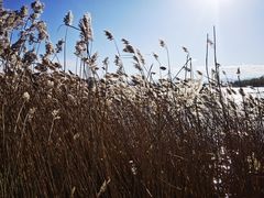 -野鸭湖国家湿地公园