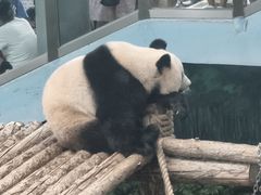 -大连森林动物园