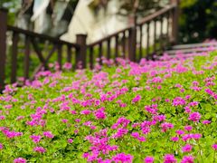 -上海市保健医疗中心