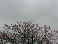 -南沙十九涌渔人码头-南门