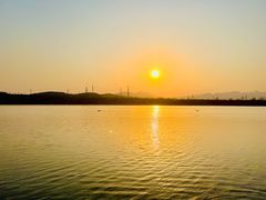 -永定河休闲森林公园