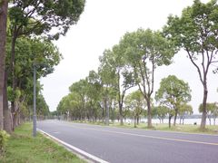 -漕湖湿地公园
