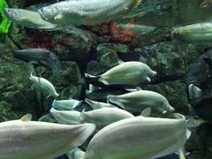 -成都浩海立方海洋公园