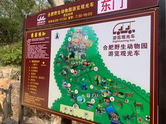 -合肥野生动物园