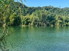 -广州市流溪河国家森林公园