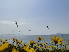 -滇池海埂公园