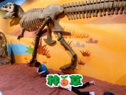 -北京科学中心儿童乐园