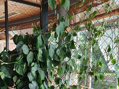 -盐帮食坊•小河帮川菜(四川师大店)