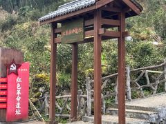 -炎陵县神农谷国家森林公园