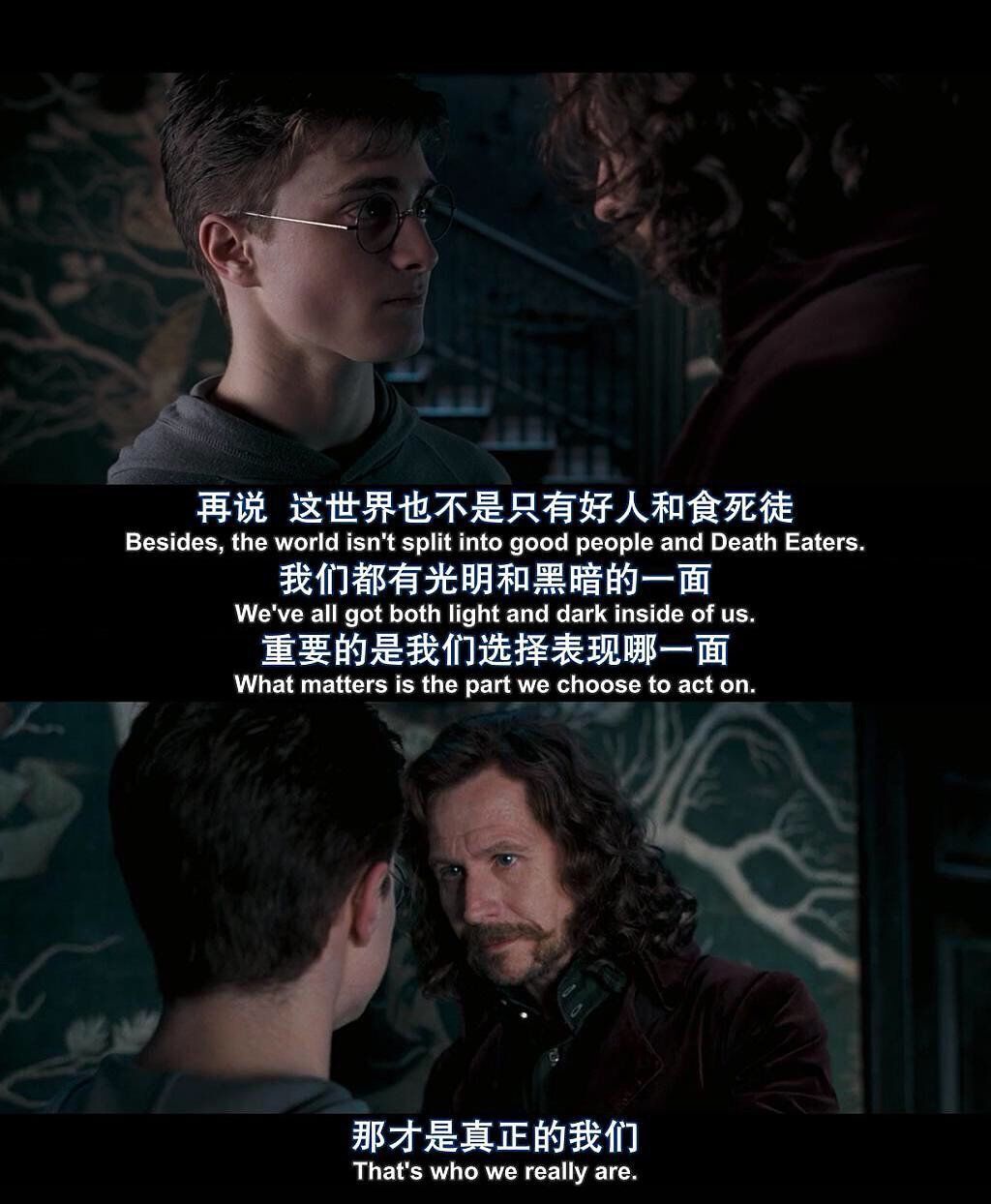小天狼星说,"哈利,不是所有的巫师都会选择成为坏人"