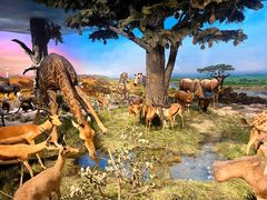 -国家自然博物馆