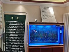 -宜华康盲人按摩(中关村店)